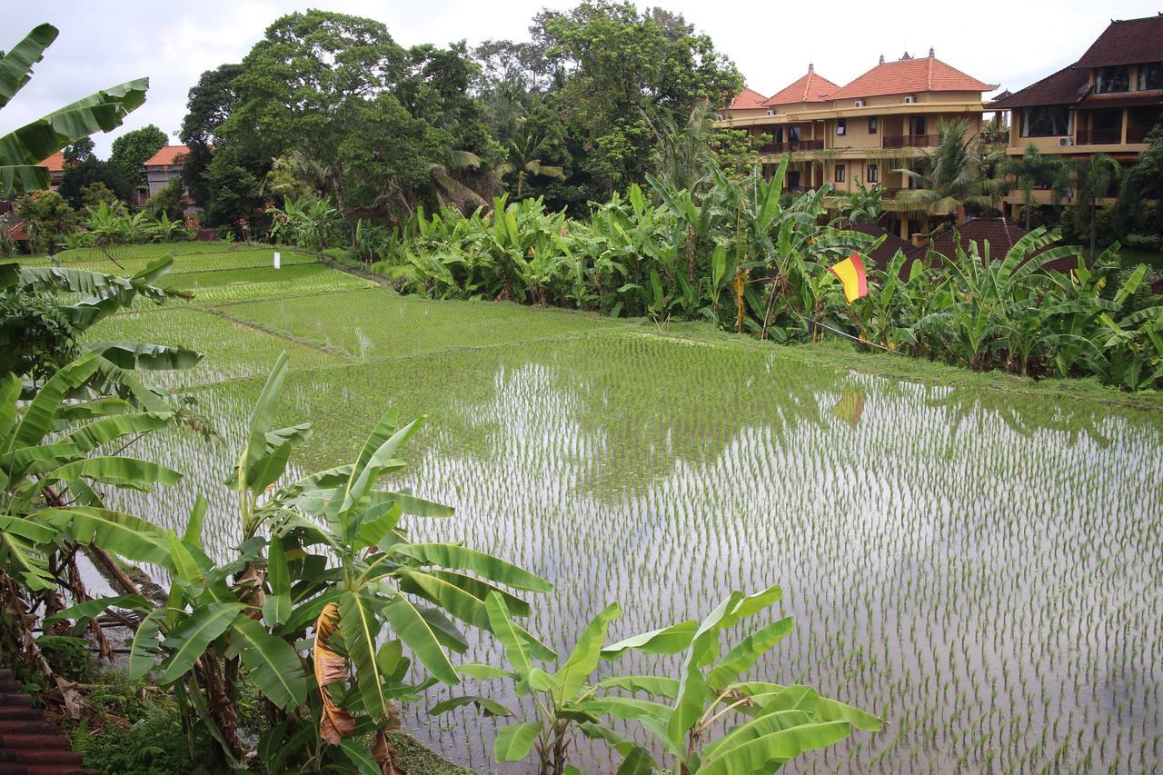 Ubud Sensasi Bungalow Exterior photo